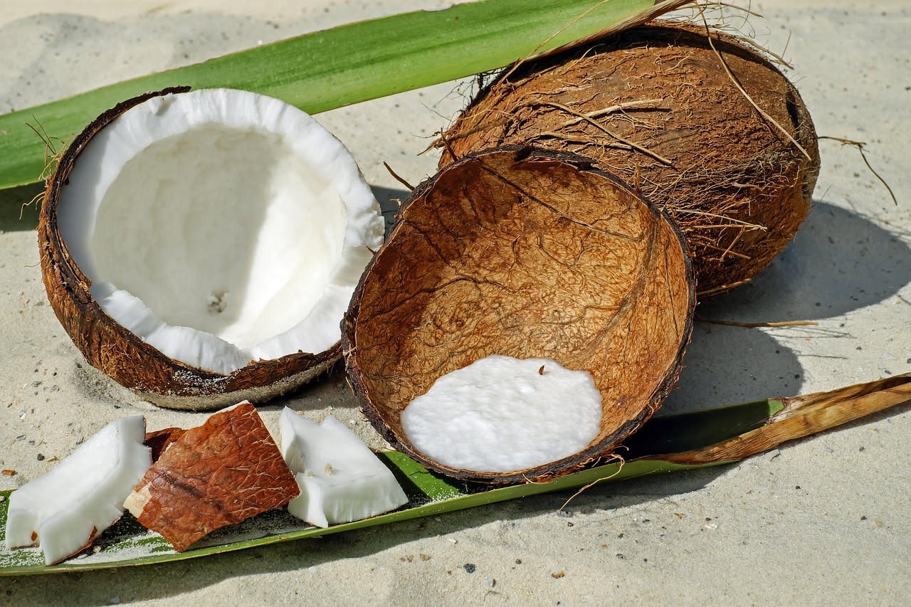 Da dove viene l'olio di cocco per la chioma: le origini