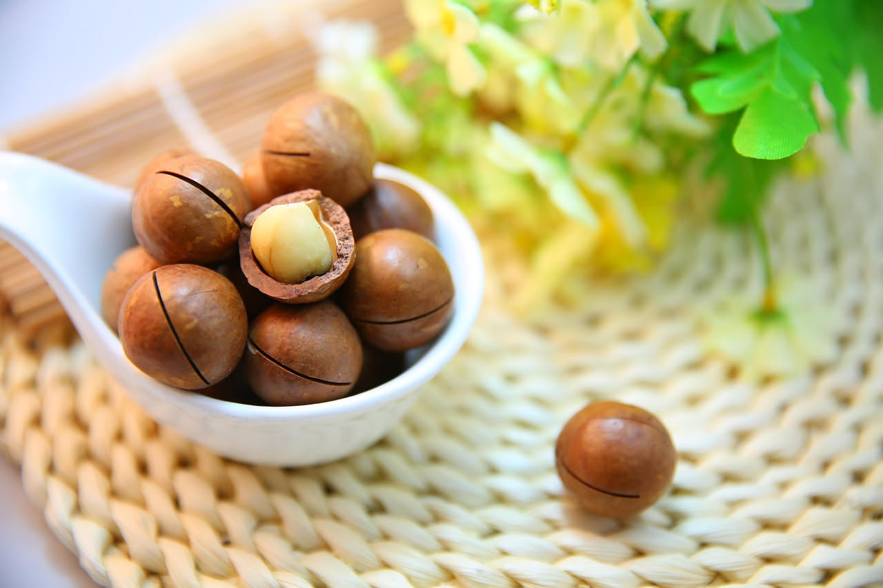 Da dove viene l'olio di macadamia: le origini