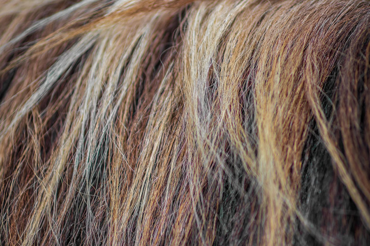 Qual è la storia del balayage: le origini antiche