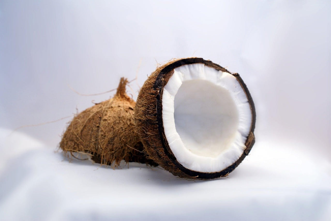 Noci di cocco mature con acqua fresca e rami verdi, su sfondo di spiaggia tropicale con palme alte e sabbia bianca