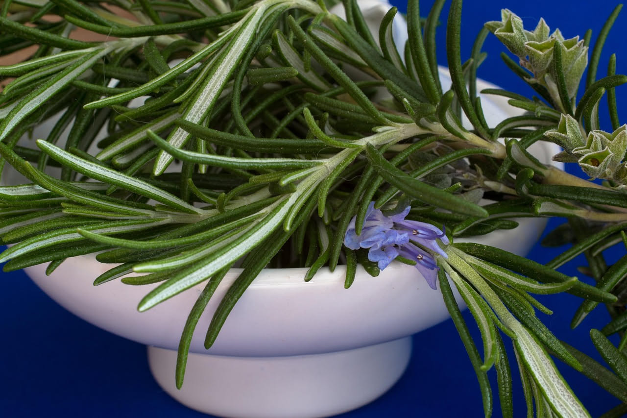 L'acqua al rosmarino fa davvero crescere i capelli?