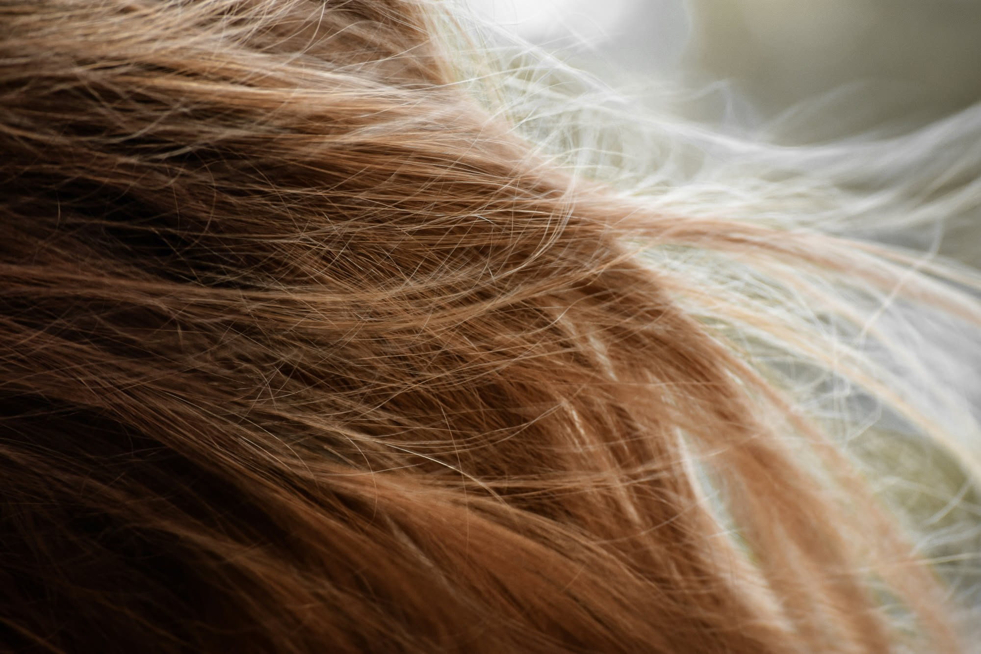 Lavare i capelli fa male? Cosa succede davvero alla fibra