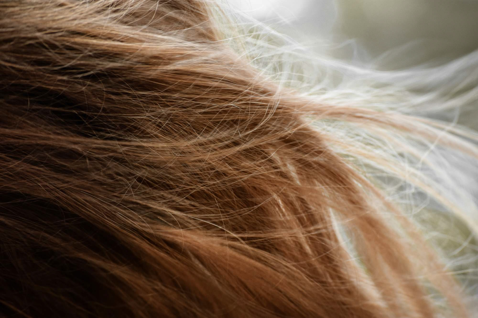 I capelli sentono la pioggia? Cosa succede con l'umidità