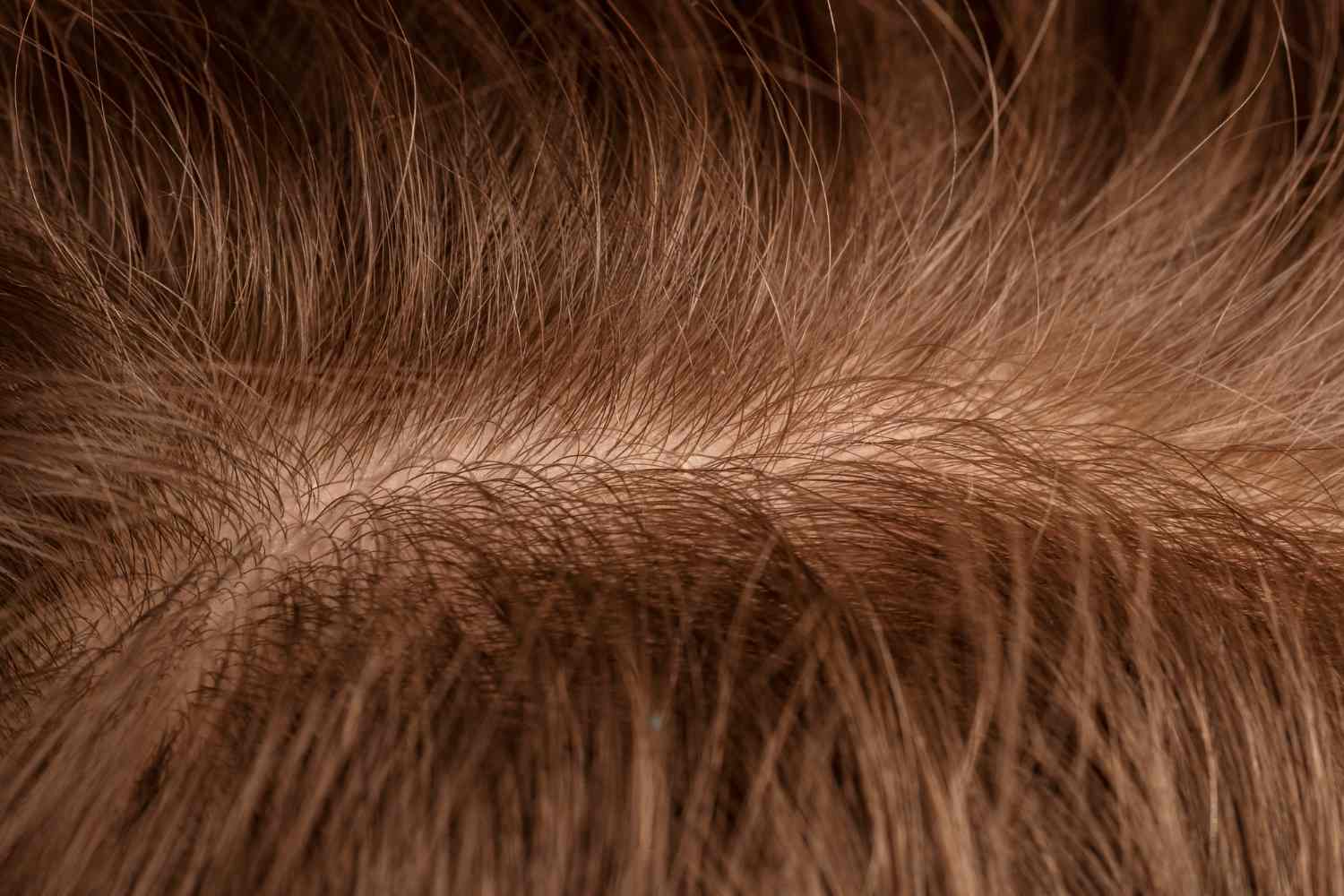Quei capelli corti che spuntano vicino alla riga sono nuovi capelli o capelli spezzati? Ecco come distinguerli